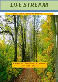 Between Every Two Pines There Is a Doorway To