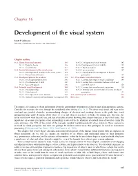 Neural Circuit and Cognitive Development