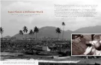 Same Planet, a Different World
