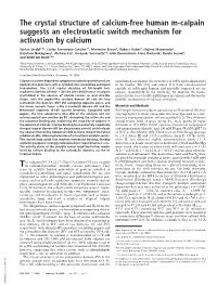 The Crystal Structure of Calcium-Free Human M-Calpain Suggests an Electrostatic Switch Mechanism for Activation by Calcium