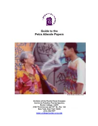 Guide to the Petra Allende Papers