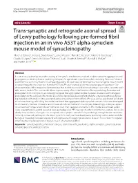 Trans-Synaptic and Retrograde Axonal Spread of Lewy Pathology Following