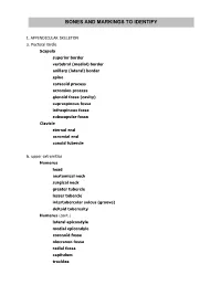 Bone Master List.Pdf