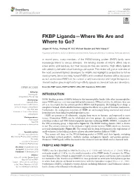 FKBP Ligands—Where We Are and Where to Go?