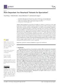 How Important Are Structural Variants for Speciation?