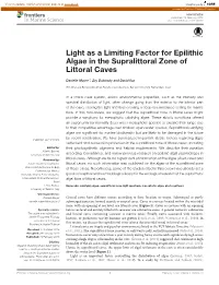 Light As a Limiting Factor for Epilithic Algae in the Supralittoral Zone of Littoral Caves