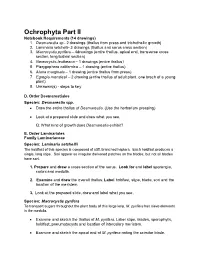 Ochrophyta Part II Notebook Requirements (14 Drawings) 1
