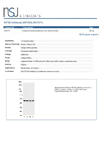 Eif2s2) (R31277