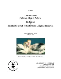 Incidental Catch of Seabirds in Longline Fisheries