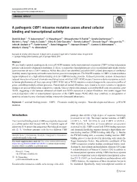 A Pathogenic Ctbp1 Missense Mutation Causes Altered Cofactor Binding and Transcriptional Activity
