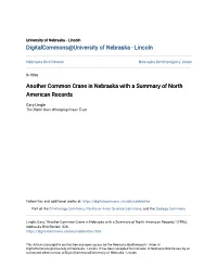 Another Common Crane in Nebraska with a Summary of North American Records