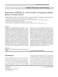 Expression of BCL2L12, a New Member of Apoptosis-Related Genes