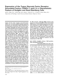 Expression of the Tumor Necrosis Factor Receptor-Associated Factors