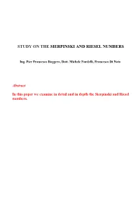 Sierpinski and Riesel Numbers