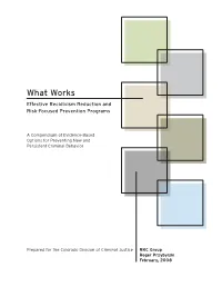 Effective Recidivism Reduction and Risk-Focused Prevention Programs