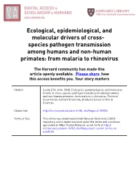 SCULLY-DISSERTATION-2018.Pdf (10.46Mb)