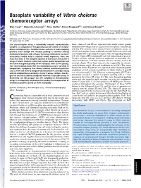 Baseplate Variability of Vibrio Cholerae Chemoreceptor Arrays