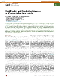 Host Evasion and Exploitation Schemes of Mycobacterium Tuberculosis