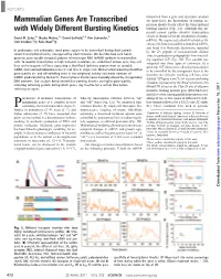 Mammalian Genes Are Transcribed with Widely Different Bursting Kinetics