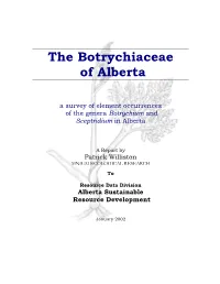 The Botrychiaceae of Alberta