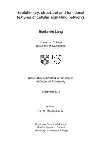 Thesis Corrected-Formatted