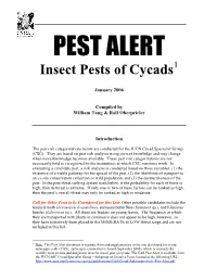 Insect Pests of Cycads1
