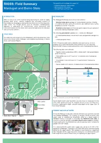 RIGSS: Field Summary Maiduguri and Borno State
