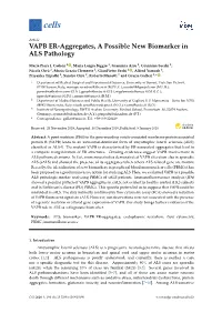 VAPB ER-Aggregates, a Possible New Biomarker in ALS Pathology