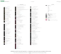 Western Earth Surface Processes