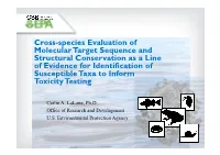 Cross-Species Evaluation of Molecular Target Sequence and Structural