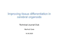 Improving Tissue Differentiation in Cerebral Organoids