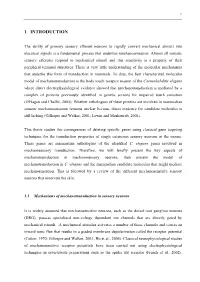 1 Introduction