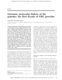 Dynamic Molecular Linkers of the Genome: the First Decade of SMC Proteins