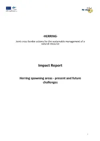 Impact Report