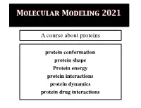 Molecular Modeling 2021