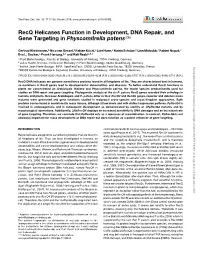 Recq Helicases Function in Development, DNA Repair, and Gene Targeting in Physcomitrella Patens[OPEN]
