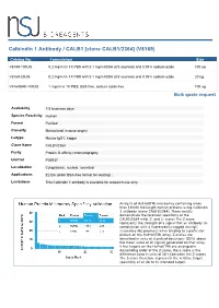Calbindin 1 Antibody / CALB1 [Clone CALB1/2364] (V8169)