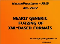 Hackerpraktikum - RUB Nov 2017