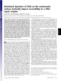 Rotational Dynamics of DNA on the Nucleosome Surface Markedly Impact Accessibility to a DNA Repair Enzyme