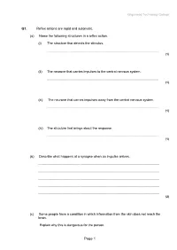 The-Nervous-System-3.Pdf