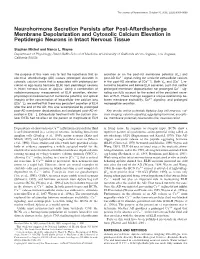 Neurohormone Secretion Persists After Post-Afterdischarge Membrane Depolarization and Cytosolic Calcium Elevation in Peptidergic Neurons in Intact Nervous Tissue