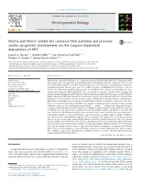 Wnt5a and Wnt11 Inhibit the Canonical Wnt Pathway and Promote Cardiac Progenitor Development Via the Caspase-Dependent Degradation of AKT