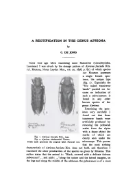 A Rectification in the Genus Apriona