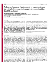 Active and Passive Displacement of Transmembrane Domains Both Occur During Opsin Biogenesis at the Sec61 Translocon