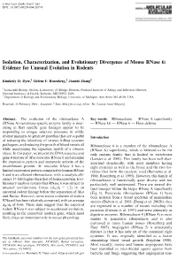 Isolation, Characterization, and Evolutionary Divergence of Mouse Rnase 6: Evidence for Unusual Evolution in Rodents