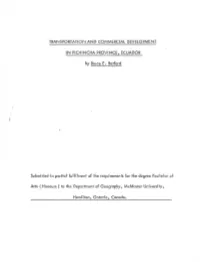 Transportation and Commercial Development in Pichincha Province