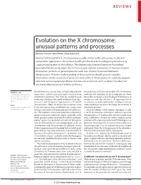 Evolution on the X Chromosome: Unusual Patterns and Processes