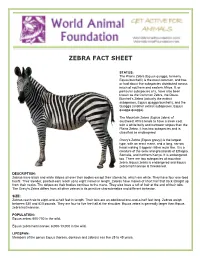 Zebra Fact Sheet