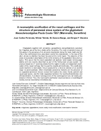 A Neomorphic Ossification of the Nasal Cartilages and the Structure Of