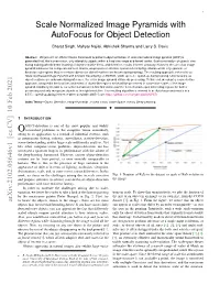Scale Normalized Image Pyramids with Autofocus for Object Detection